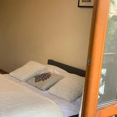 Przystanek Gubalowka -guest House בית הארחה זקופאנה